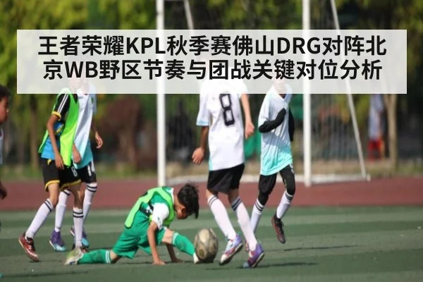 王者荣耀KPL秋季赛佛山DRG对阵北京WB野区节奏与团战关键对位分析